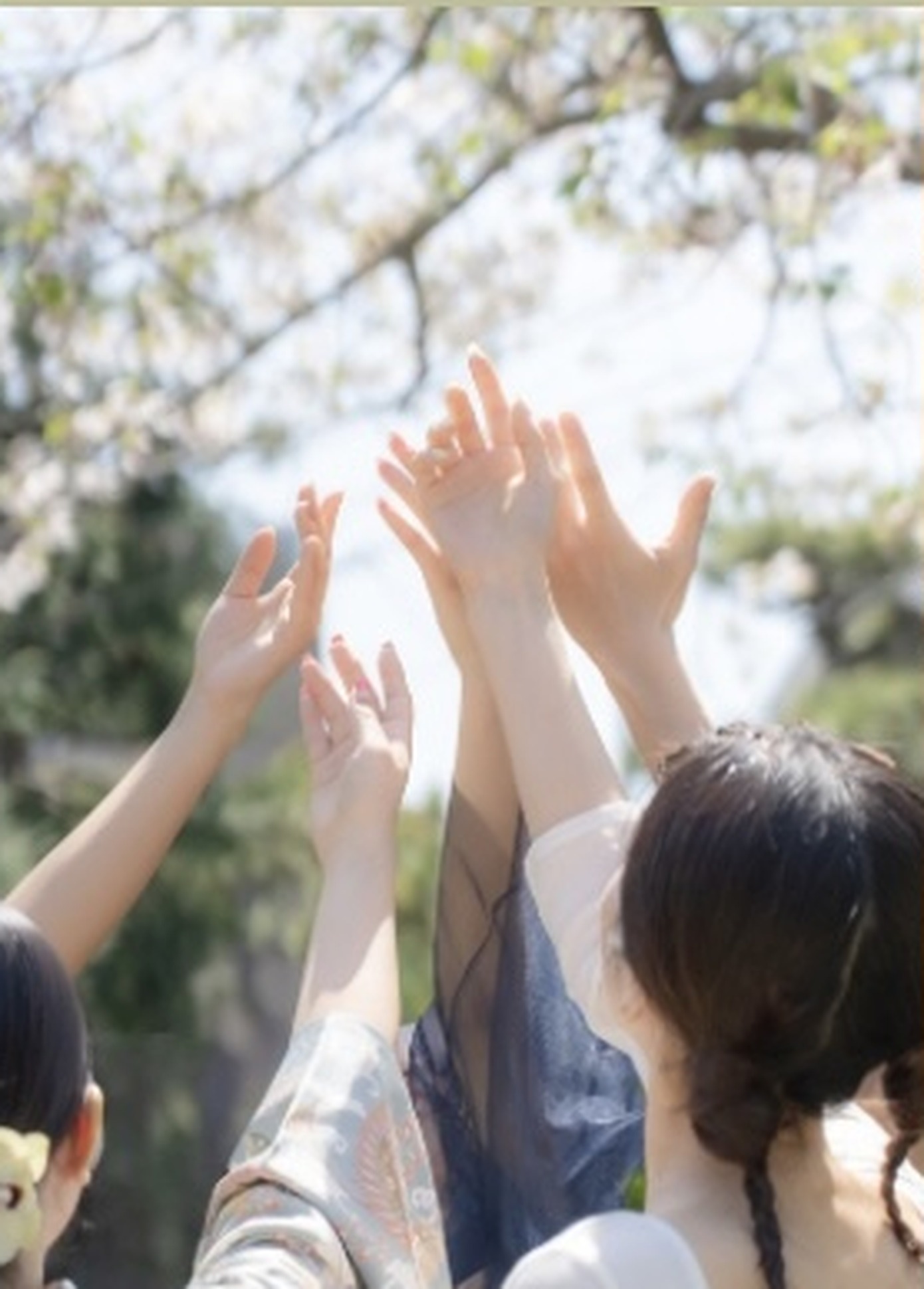 空へ手を伸ばす出演者